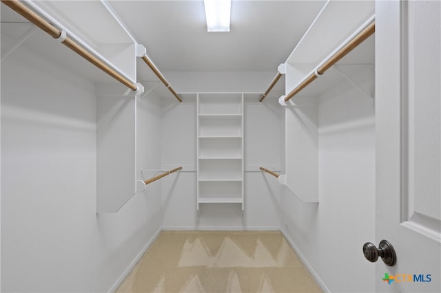 spacious closet featuring carpet floors