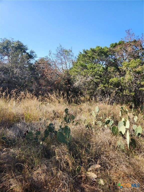 TBD Stellar Dr, Burnet TX, 78611 land for sale