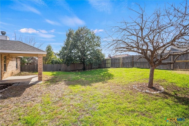 view of yard featuring a patio