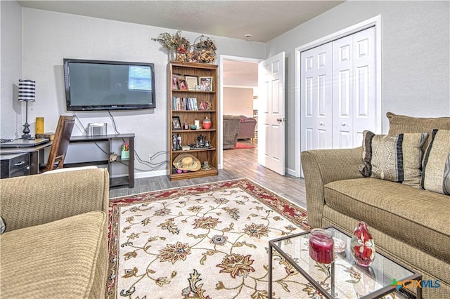 living room with wood-type flooring