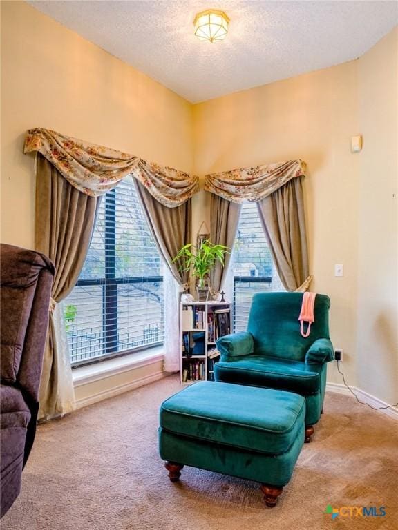 2904 Candace Cir, Horseshoe Bay, TX 78657 - sitting room with carpet and a textured ceiling