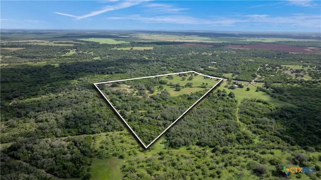 1033 Fm 1351, Goliad, TX 77963 - photo 34
