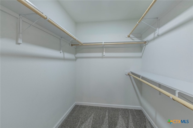 575 Live Oak Dr, Bertram, TX 78605 - spacious closet featuring carpet