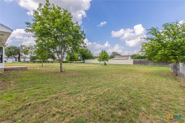 575 Live Oak Dr, Bertram, TX 78605 - view of yard