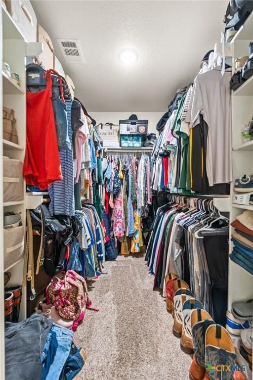 2635 Bolzano Trl, Temple, TX 76502 - spacious closet with carpet