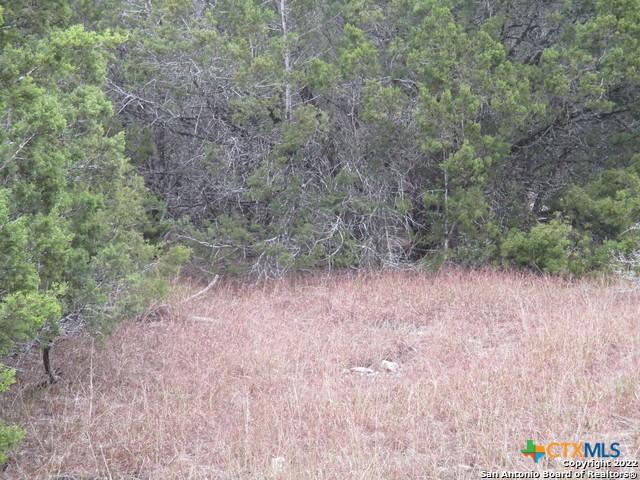 670 Butler Oaks, Bulverde, TX 78163