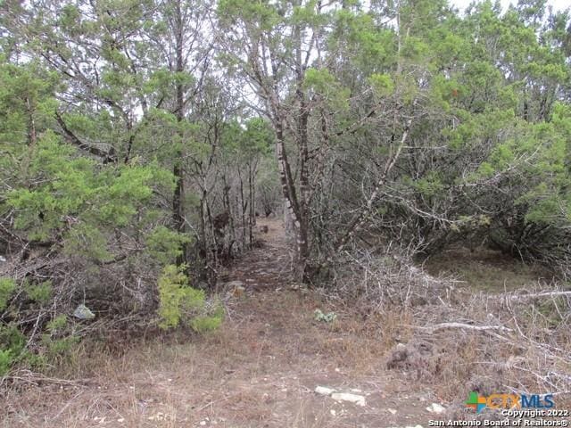 670 Butler Oaks, Bulverde, TX 78163