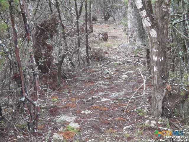 670 Butler Oaks, Bulverde, TX 78163