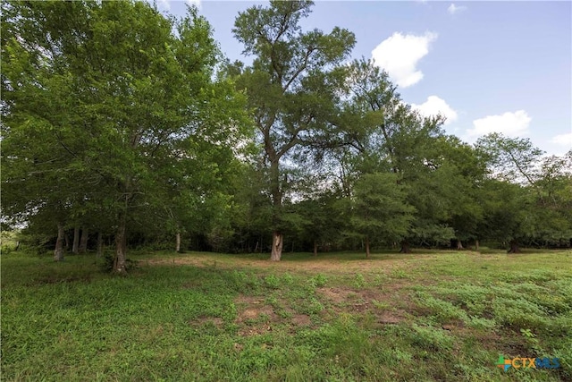 TBD County Road 214, Hallettsville, TX 77964 - photo 5