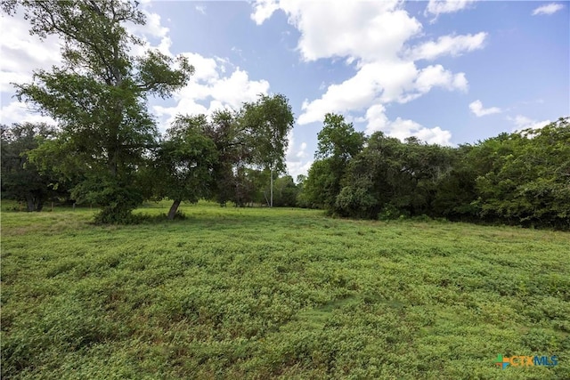 TBD County Road 214, Hallettsville, TX 77964 - photo 4