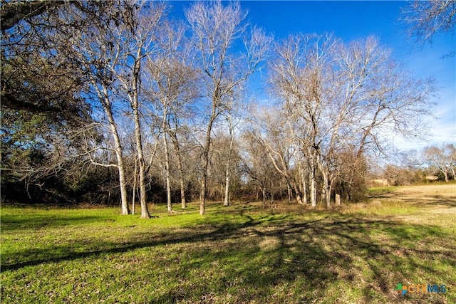 Listing photo 3 for TBD County Road 214, Hallettsville TX 77964