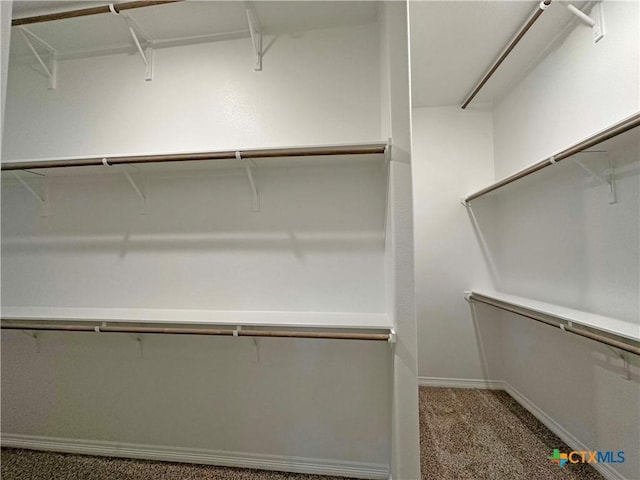 spacious closet featuring carpet floors