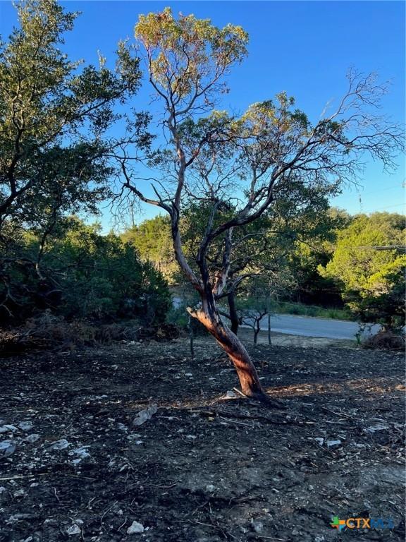 340 Ledgeview Dr, Canyon Lake, TX 78133 - photo 5