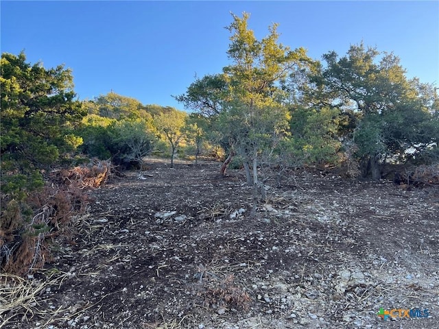 340 Ledgeview Dr, Canyon Lake, TX 78133 - photo 1