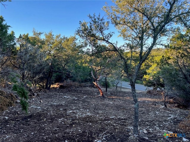 340 Ledgeview Dr, Canyon Lake, TX 78133 - photo 4