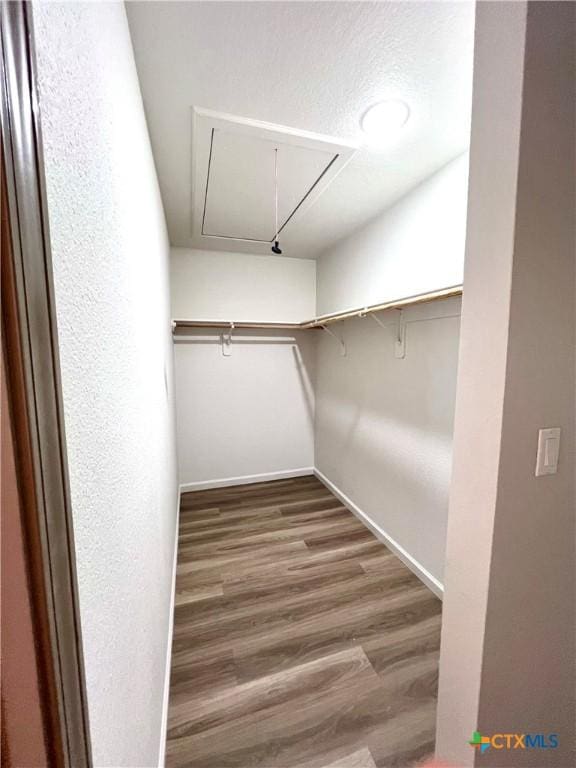 107 S 23rd St, Temple, TX 76504 - walk in closet featuring attic access and wood finished floors