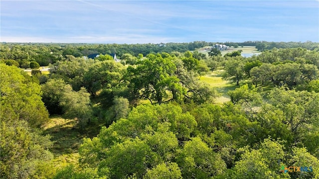LOT7 Morning Dew Dr, Round Mountain, TX 78663