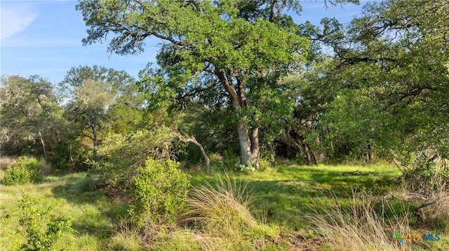 LOT7 Morning Dew Dr, Round Mountain, TX 78663