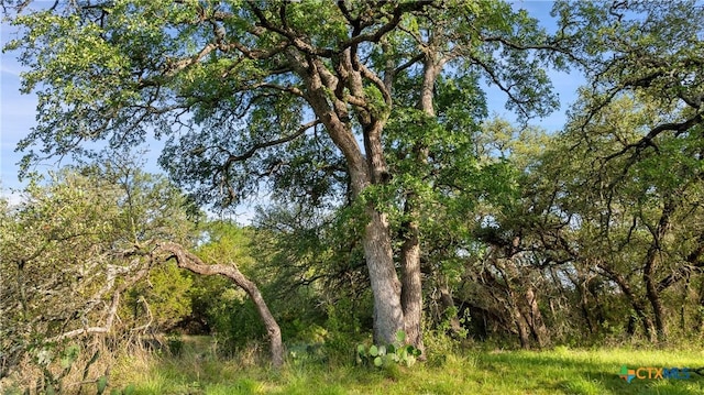 LOT7 Morning Dew Dr, Round Mountain, TX 78663
