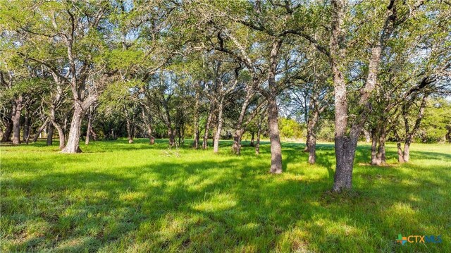 LOT7 Morning Dew Dr, Round Mountain, TX 78663