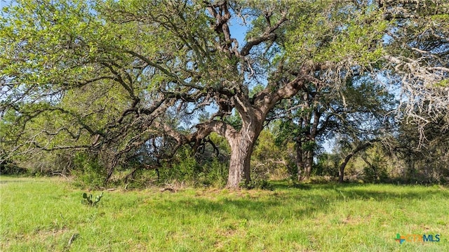 LOT7 Morning Dew Dr, Round Mountain, TX 78663