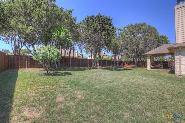 view of yard featuring a patio and a fenced backyard