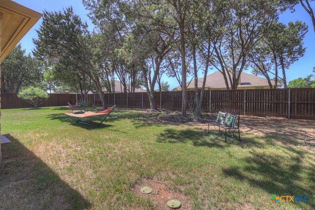 view of yard featuring a fenced backyard
