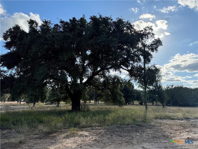 312 Old Waco Rd, Gatesville TX, 76528 land for sale