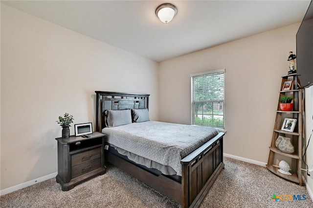 834 Oyster Crk, Buda, TX 78610 - bedroom with light carpet and baseboards