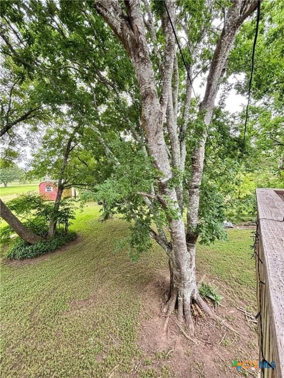 491 Carancahua Blvd, Palacios, TX 77465 - photo 19