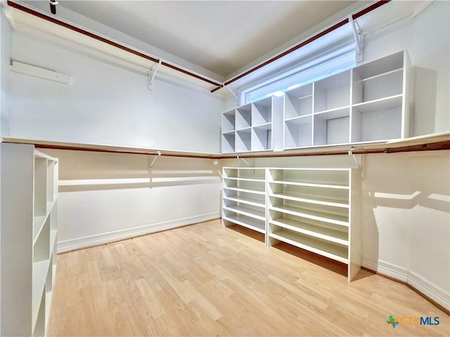 walk in closet with wood-type flooring