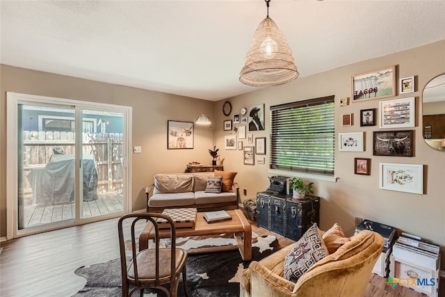 living room featuring wood-type flooring