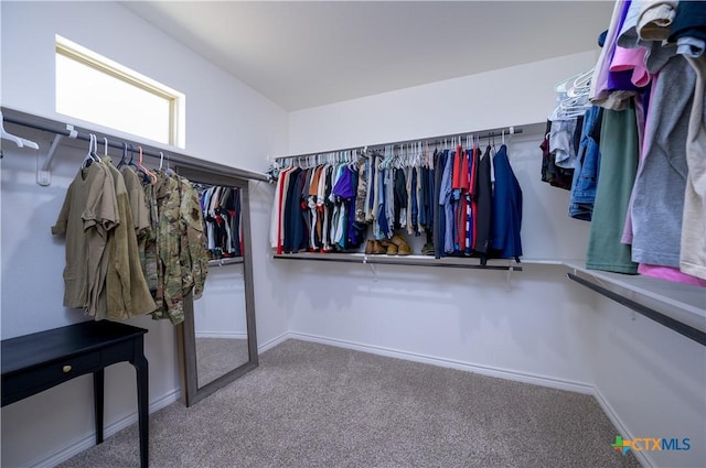 walk in closet featuring carpet floors