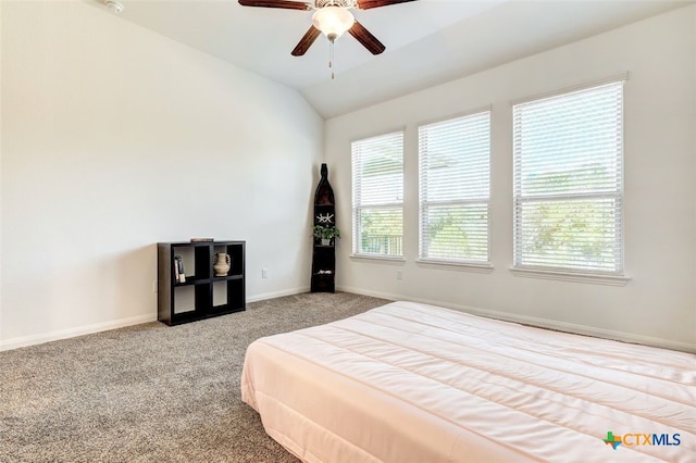557 Scenic Bluff Dr, Georgetown, TX 78628 - photo 26
