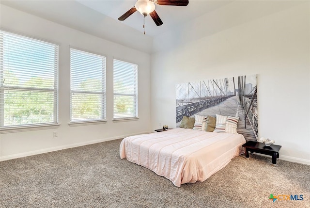 557 Scenic Bluff Dr, Georgetown, TX 78628 - photo 29