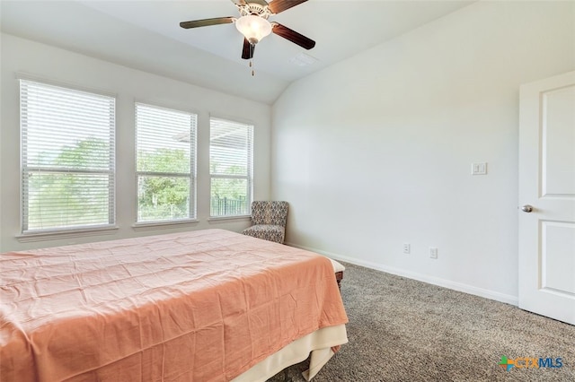 557 Scenic Bluff Dr, Georgetown, TX 78628 - photo 21
