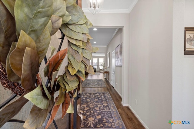 corridor featuring crown molding, baseboards, and wood finished floors