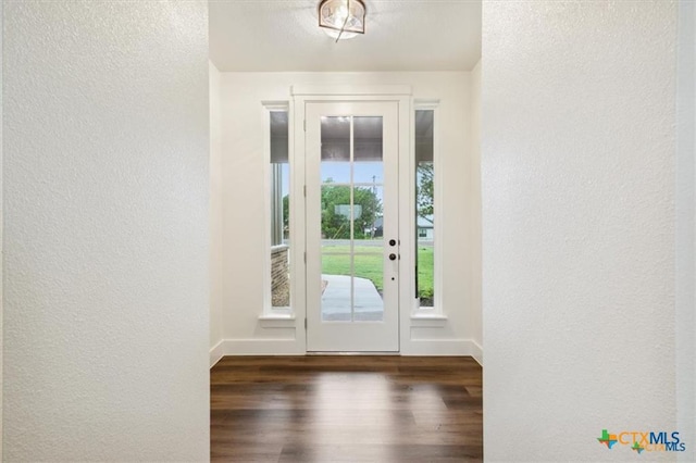 doorway with dark hardwood / wood-style flooring and a wealth of natural light