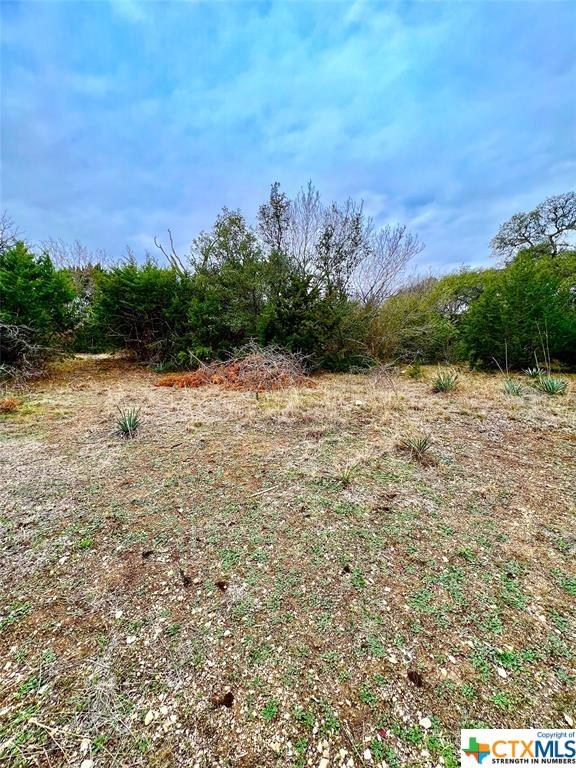 8601 Trimmier Rd, Killeen, TX 76542 - photo 8