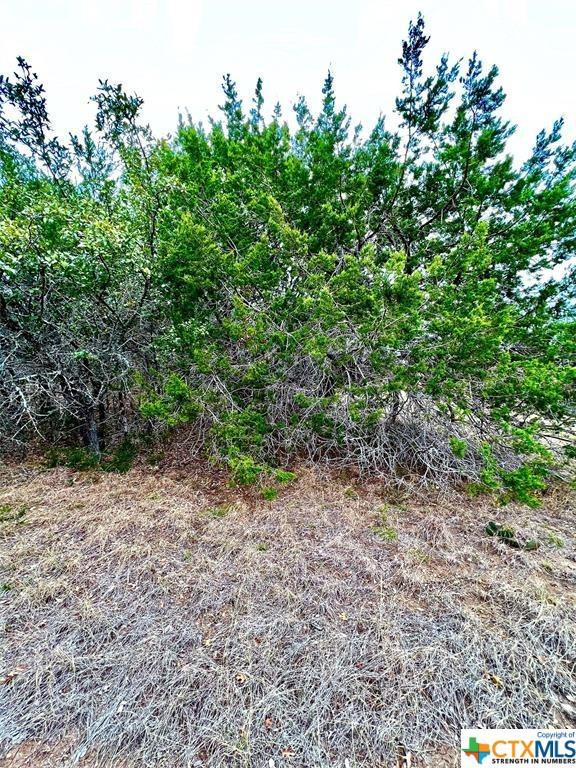 8601 Trimmier Rd, Killeen, TX 76542 - photo 6