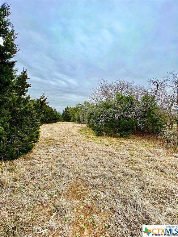 8601 Trimmier Rd, Killeen, TX 76542 - photo 4