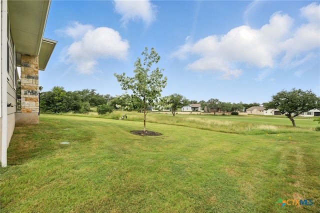 117 Ace Ln Unit 101, San Marcos, TX 78666 - view of grassy yard