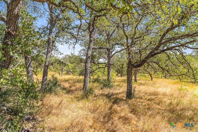 Listing photo 3 for 18.145ACRES Herber-Schaefer Rd, Fredericksburg TX 78624