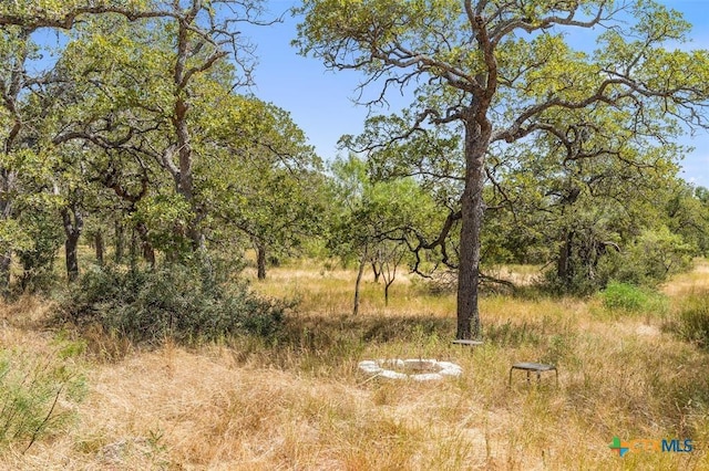 18.145ACRES Herber-Schaefer Rd, Fredericksburg TX, 78624 land for sale