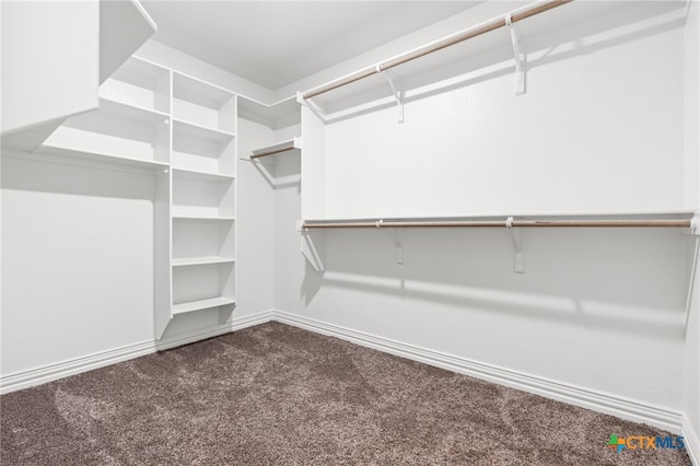 spacious closet featuring carpet