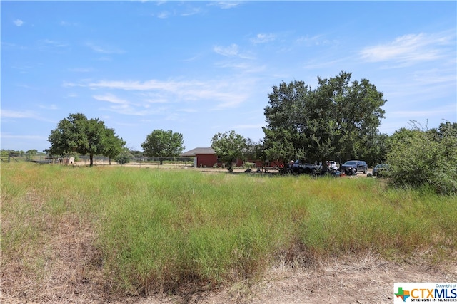 view of yard featuring a rural view