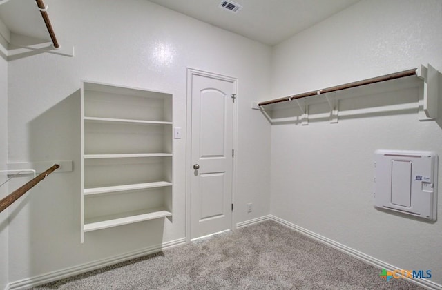 spacious closet with carpet floors and electric panel