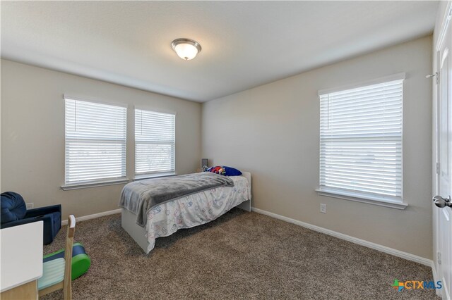 carpeted bedroom with multiple windows