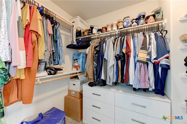 view of walk in closet