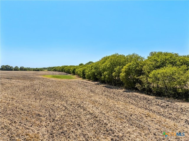TBD/-12.5ACRES T M W Pkwy, West, TX 76691 - photo 4